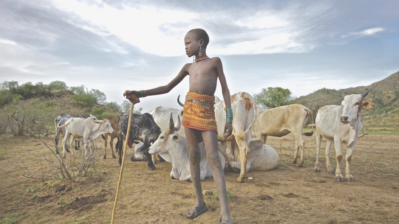 Livelihood and Nature in Harmony