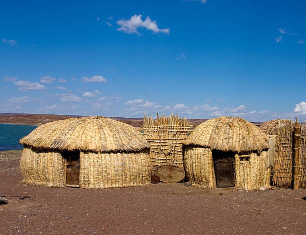 Nomad Nexus Africa Hero Image